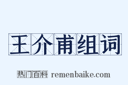 王介甫组词是什么意思的图片